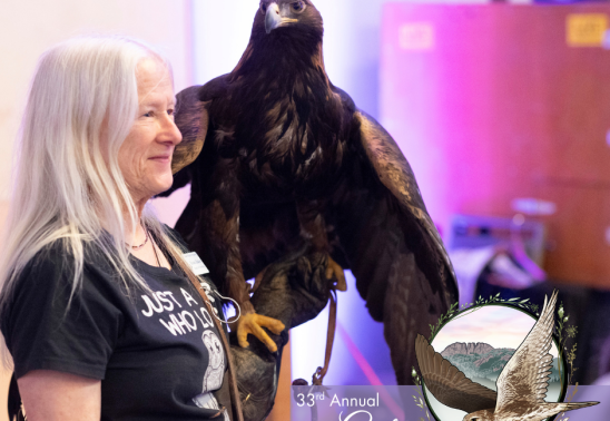 Rocky Mountain Raptor Program 33rd Annual Gala