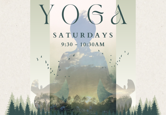 Weekly Vinyasa Yoga