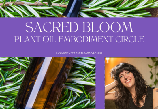 Sacred Bloom Plant Oil Embodiment Circle with Andrea Sweeting