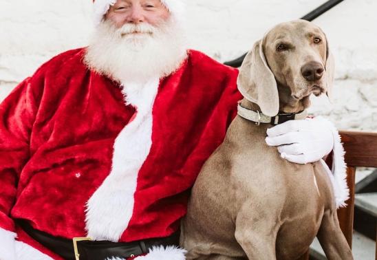 Santa & Pups & Kids Photo Event