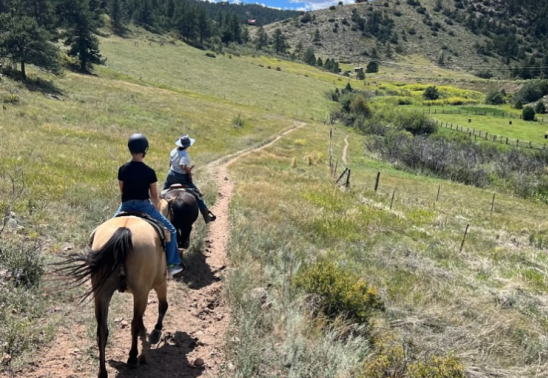 Half-Off Horseback Rides: Season Grand Opening!