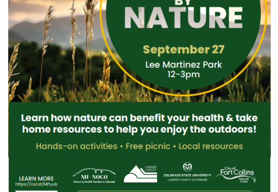 Healthy By Nature Fair