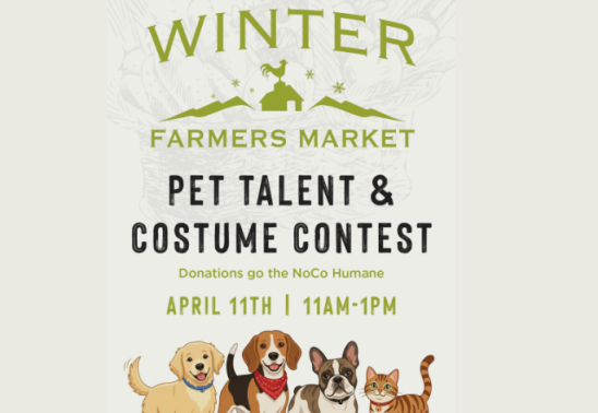 Pet Talent & Costume Contest