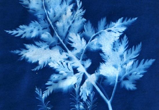 Sun Printed Bookmarks Class at Bath Garden Center