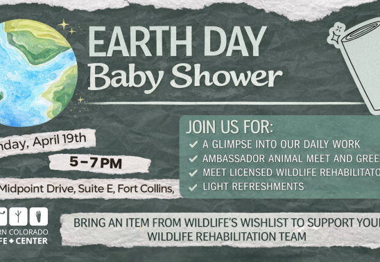 Earth Day Baby Shower