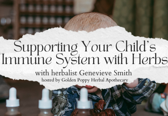Supporting your Child’s Immune System with Herbs