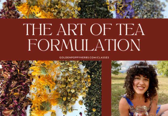 The Art of Tea Formulation with Liz Faermark @TalkWildHerbs