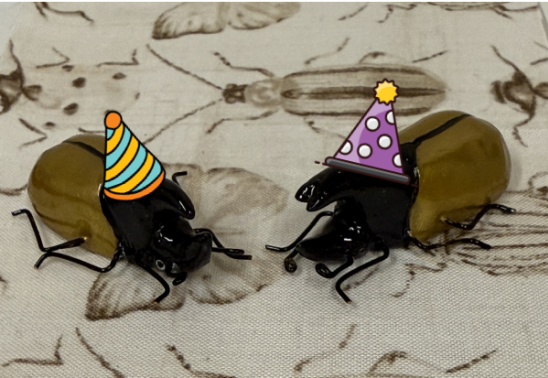 Bug Party! at the Avenir Museum