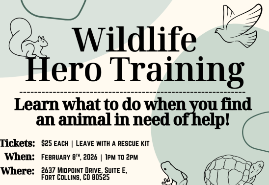Wildlife Hero Training