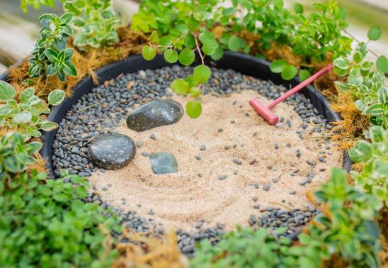 Zen Garden Workshop at Bath Garden Center