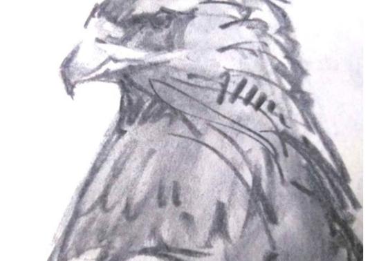 Beginning Sketching Art Class