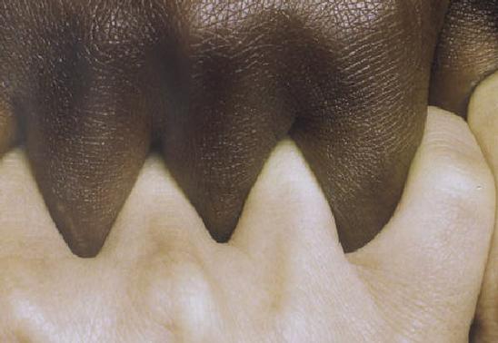 Posters of Peace and Shared Horizons