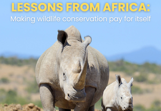 Ed Warner’s Lessons from Africa