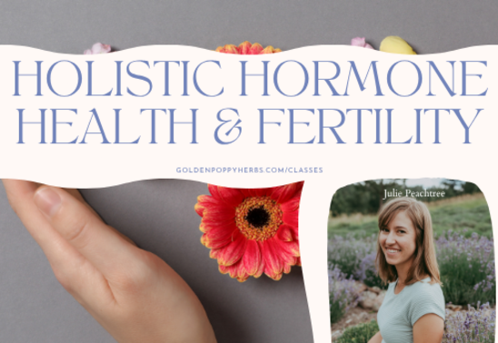 A Holistic Approach to Hormone Health and Fertility