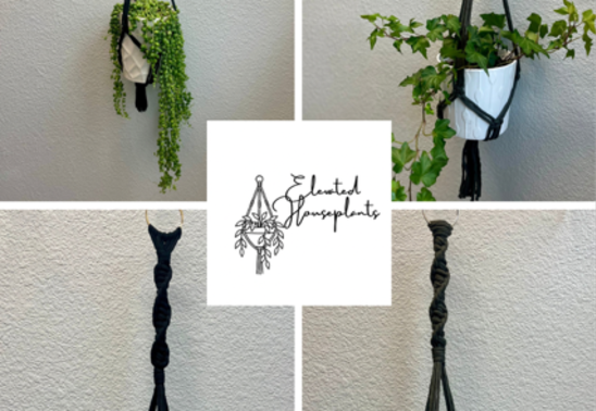 Macrame Workshop with Elevated Houseplants