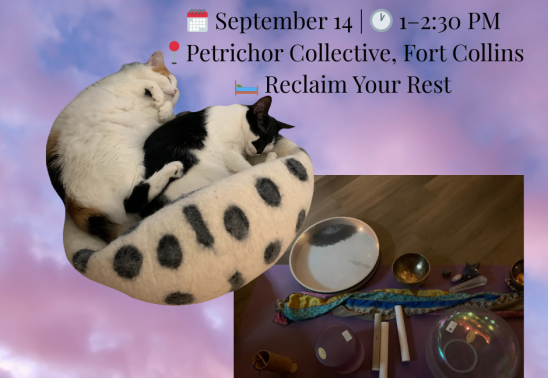 Beautiful Dreamer Society In-Person Nap-In