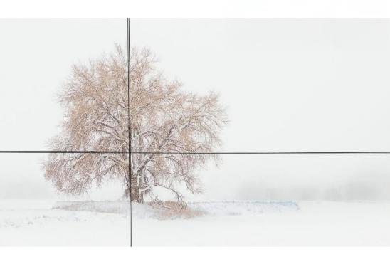 Intro To Digital Photography: PART 1 COMPOSITION & LIGHT