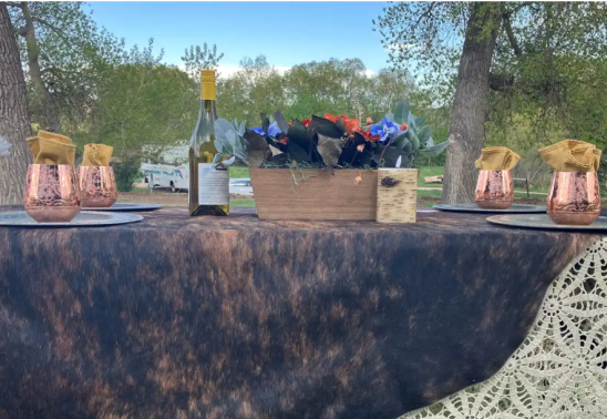 Charcuterie Horseback Picnic Ride