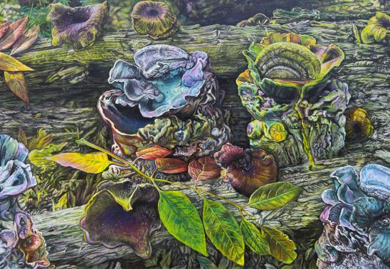 Artist Talk and Reception for Kristy Deetz: Disrupted Gardens