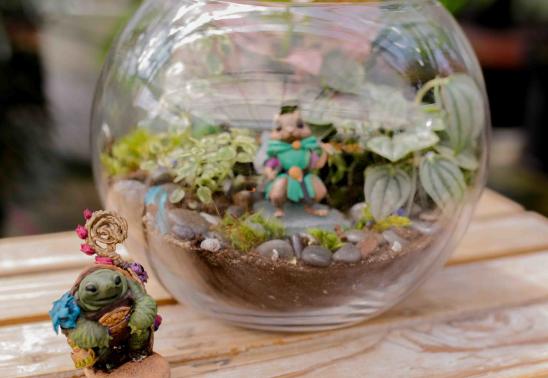 Wandering Craft Corner Terrarium Class