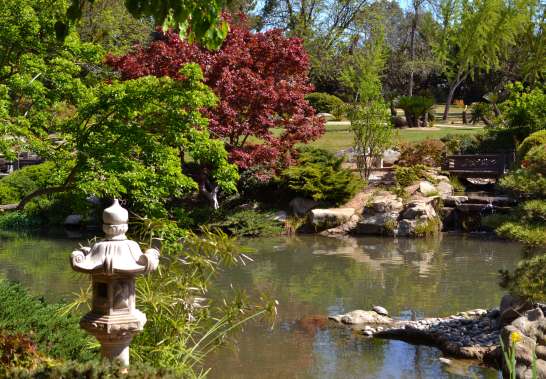 Woodward Park
