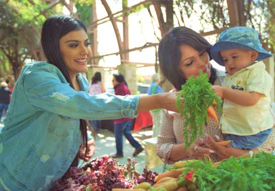 family shopping fresh produce by farmer market stands
