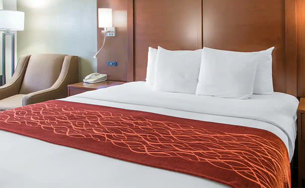 Comfort Inn and Suites SFO North King Bed