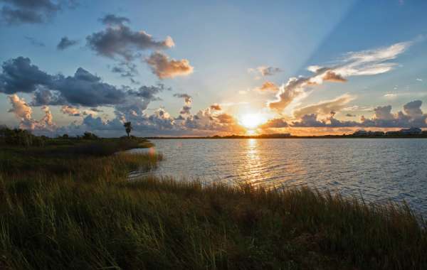 Kayak The Texas Gulf Coast