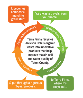 Terra Firma graphic