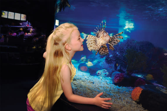 Girl in Aquarium