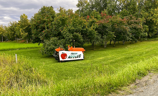 The Apple Patch