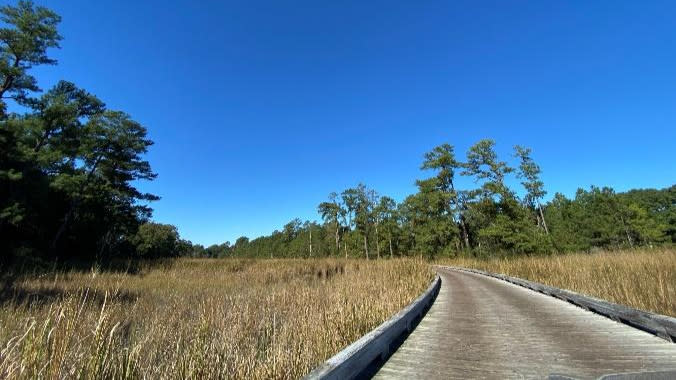 Copy of Island Loop Drive