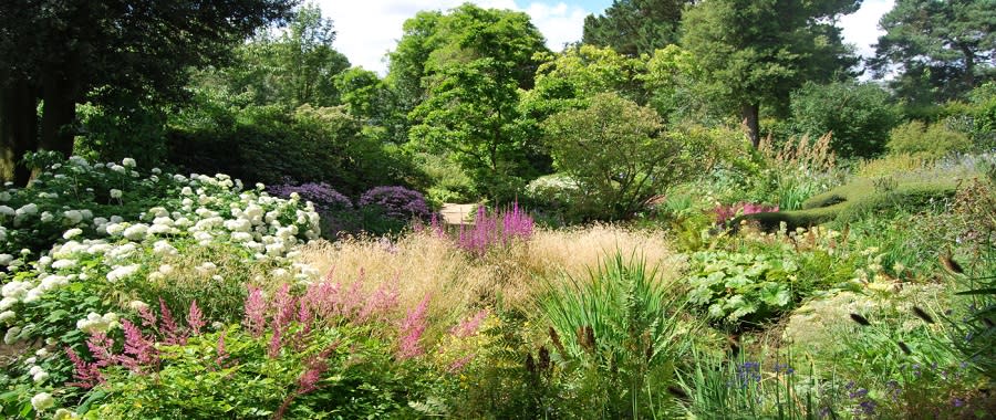 Hidcote (NT)