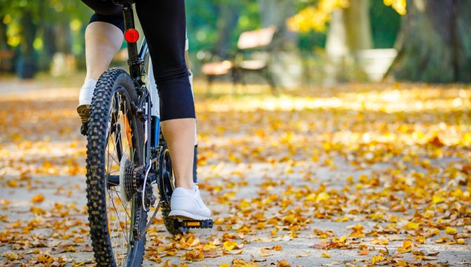 BikeToTable_OG-1200x630