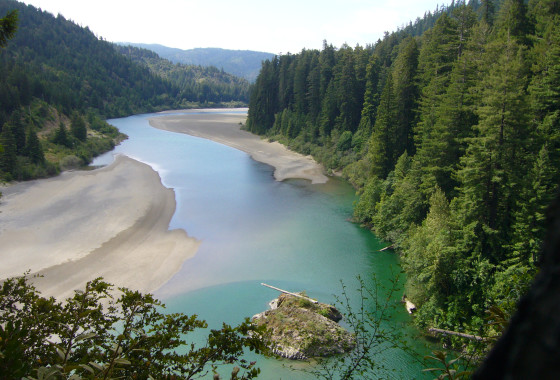 Humboldt Redwoods State Park