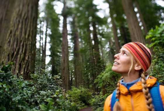 Patitucci Woman in Redwoods