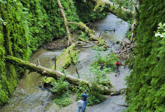 Hiking by a creek