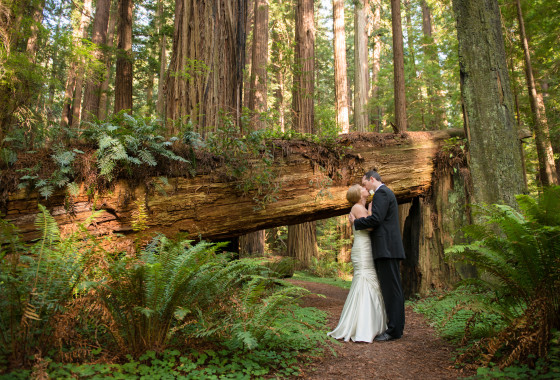 Weddings in Redwood National & State Parks