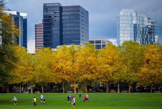 Bellevue Downtown Park Frisbee