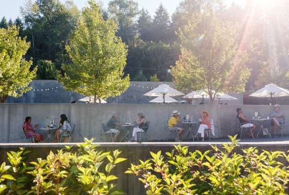 Lush green trees soften the concrete patio where people are enjoying wine under the shade of white umbrellas