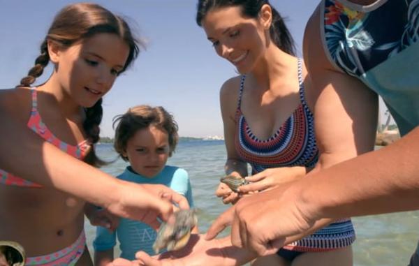 Video Thumbnail - vimeo - Ecotourism_3_Shells