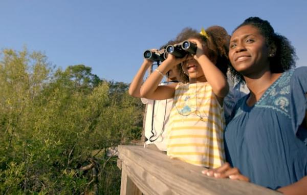 Video Thumbnail - vimeo - Ecotourism_2_Birdwalk