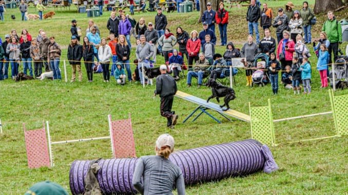 Sheepdog Trials & Dog Festival