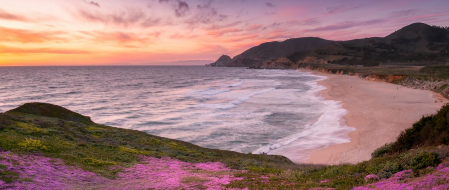 Montara State Beach - Jeff Regan