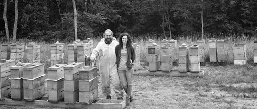 Bedillion Honey Farm