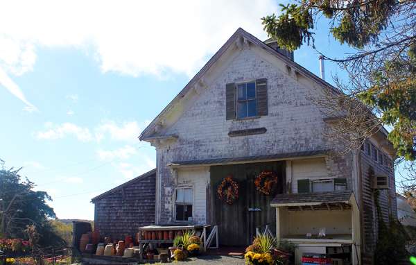 4 Great Ways To Experience Harvest Season On Cape Cod