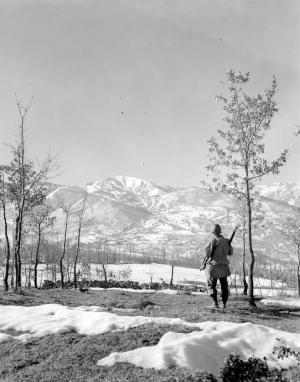 10th Mountain Division