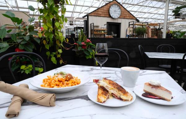Terrace Cafe