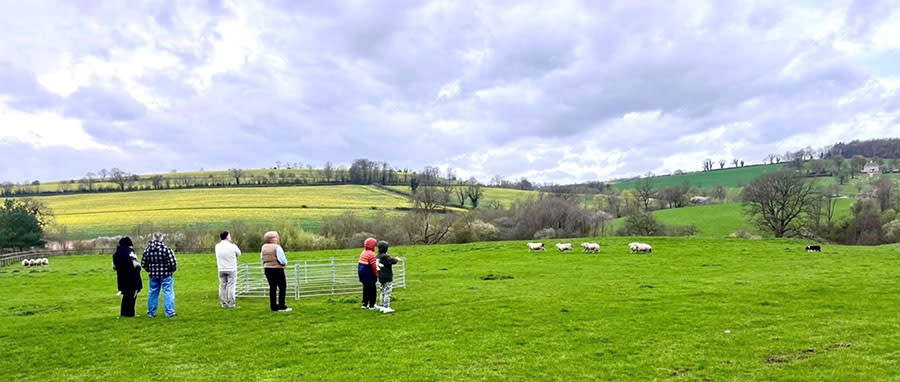 Cotswold Tours & Travel