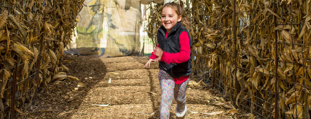 PumpkinHollow-Fall-Events-in-KC-and-Overland-Park PumpkinHollow-Fall-Events-in-KC-and-Overland-Park